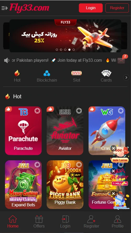 Fly33
